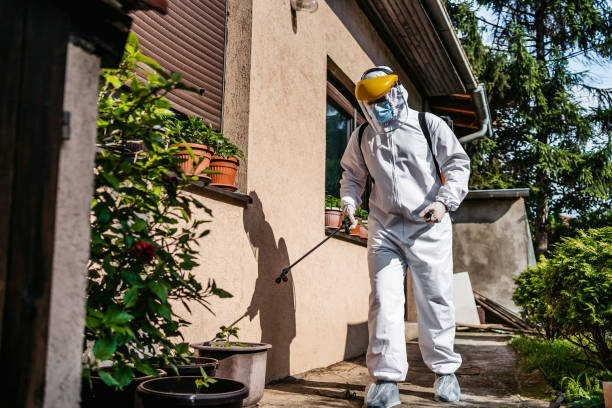 Best Wasp Removal Services  in Toast, NC