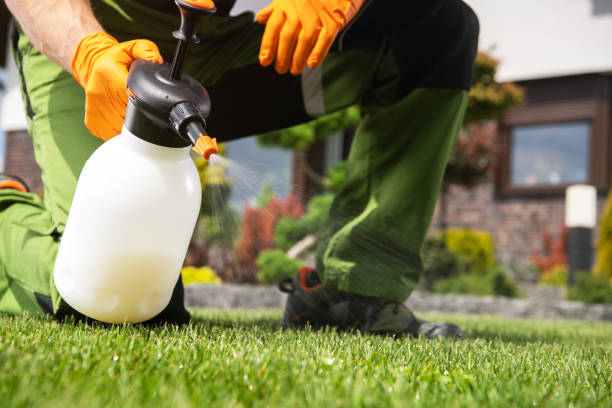 Best Rat Extermination Near Me  in Toast, NC