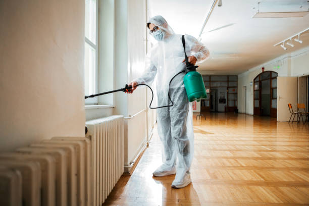 Best Flea Control Services  in Toast, NC